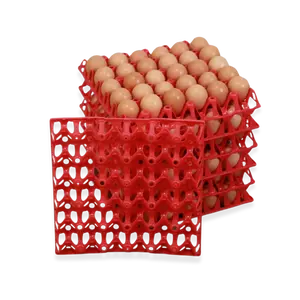 EZ-Gather Egg Trays EZ-Gather Egg Trays