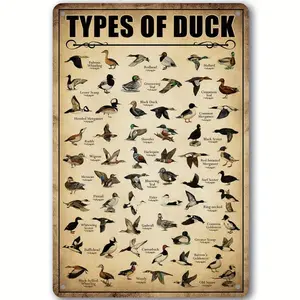 Vintage Duck Hunting Metal Sign, Duck Types Knowledgeable Poster, Ideal 8x12 Decorative Poster Unframed Wall Art for Home, Kitchen, Bathroom Decor, Art Wall Decoration, Ornaments