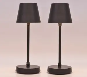 SecureBrite Set of 2 Rechargeable Indoor/Outdoor 12" Touch Lamp