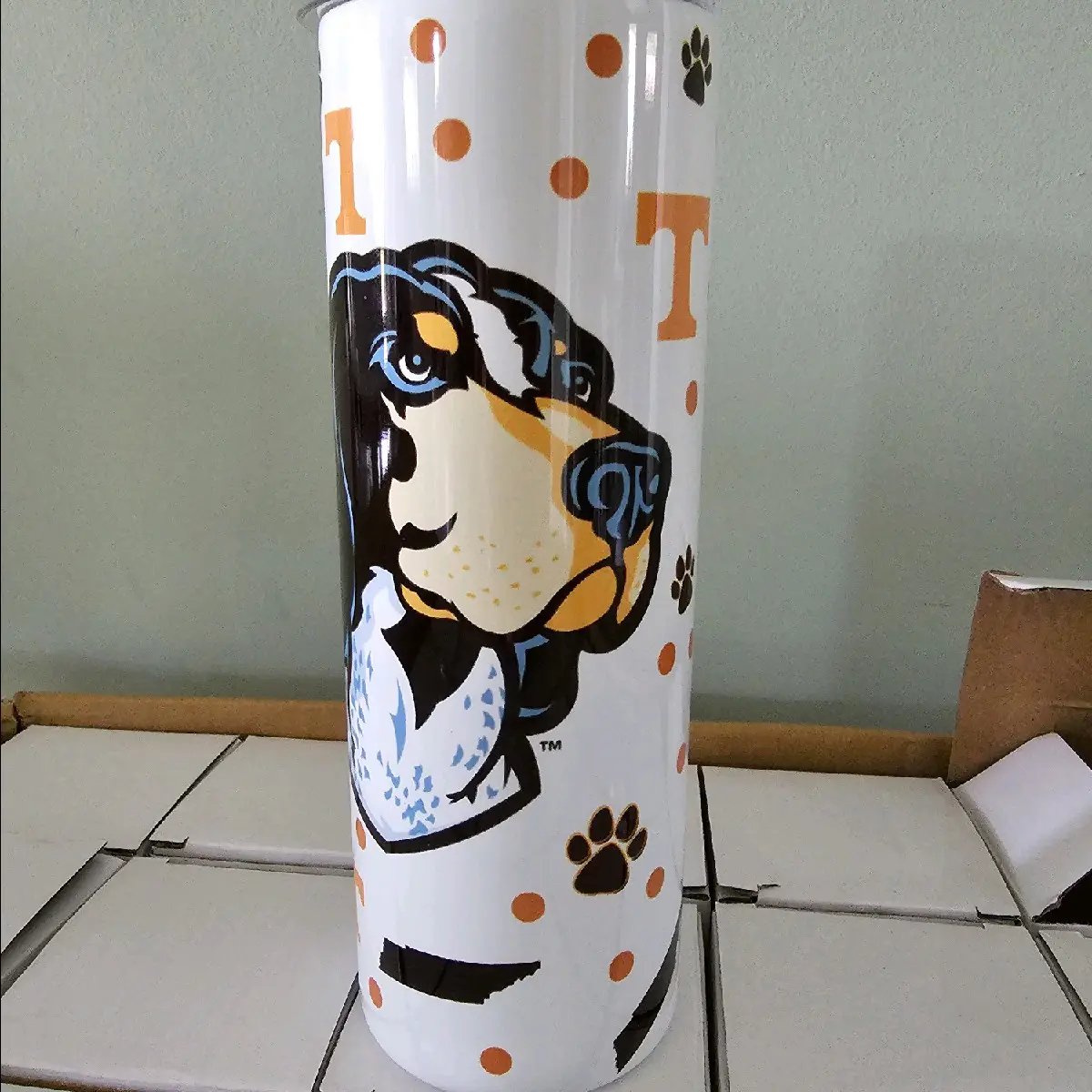 TN Vols 20oz Tumbler
