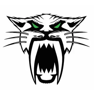 Arctic Cat Decal