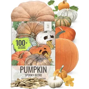 Bulk Spooky Mixture Pumpkin Seeds For Planting (Cucurbita pepo / maxima)