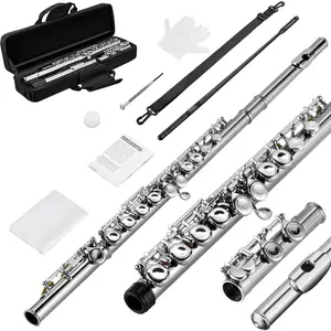 POGOLAB Flutes, Closed Hole C 16 Keys Flute Instrument, Student Flute for Beginner Advanced Player with Flute Cleaning Kit, Carry Bag, Stand, Strap, Probe Rod, Gloves
