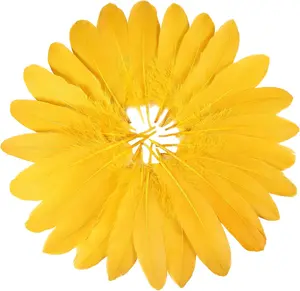 120pcs Golden Yellow Goose Feathers 6-8 Inch 15-20cm Decorative Natural Goose Nagoire Feather Bulk for DIY Crafts Cosplay