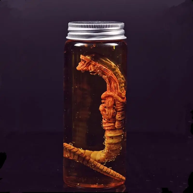 Alien Xenomorph Specimen Lidded Glass Container, Facehugger Embryo Movie Prop Replica (Toys & Hobbies, Classic & Novelty Toys, Model Vehicles), Lidded Container