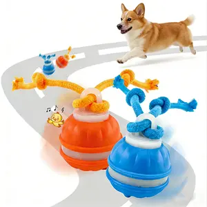 Interactive Dog Ball Toy – a fun, sound-making ball for small, medium, and large dogs. Features automatic rolling, rechargeable via USB, and promotes exercise for puppies and dogs.