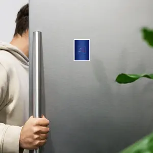 BoPoRev Magnet