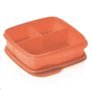 Tupperware Lunch-It Containers Set of 1