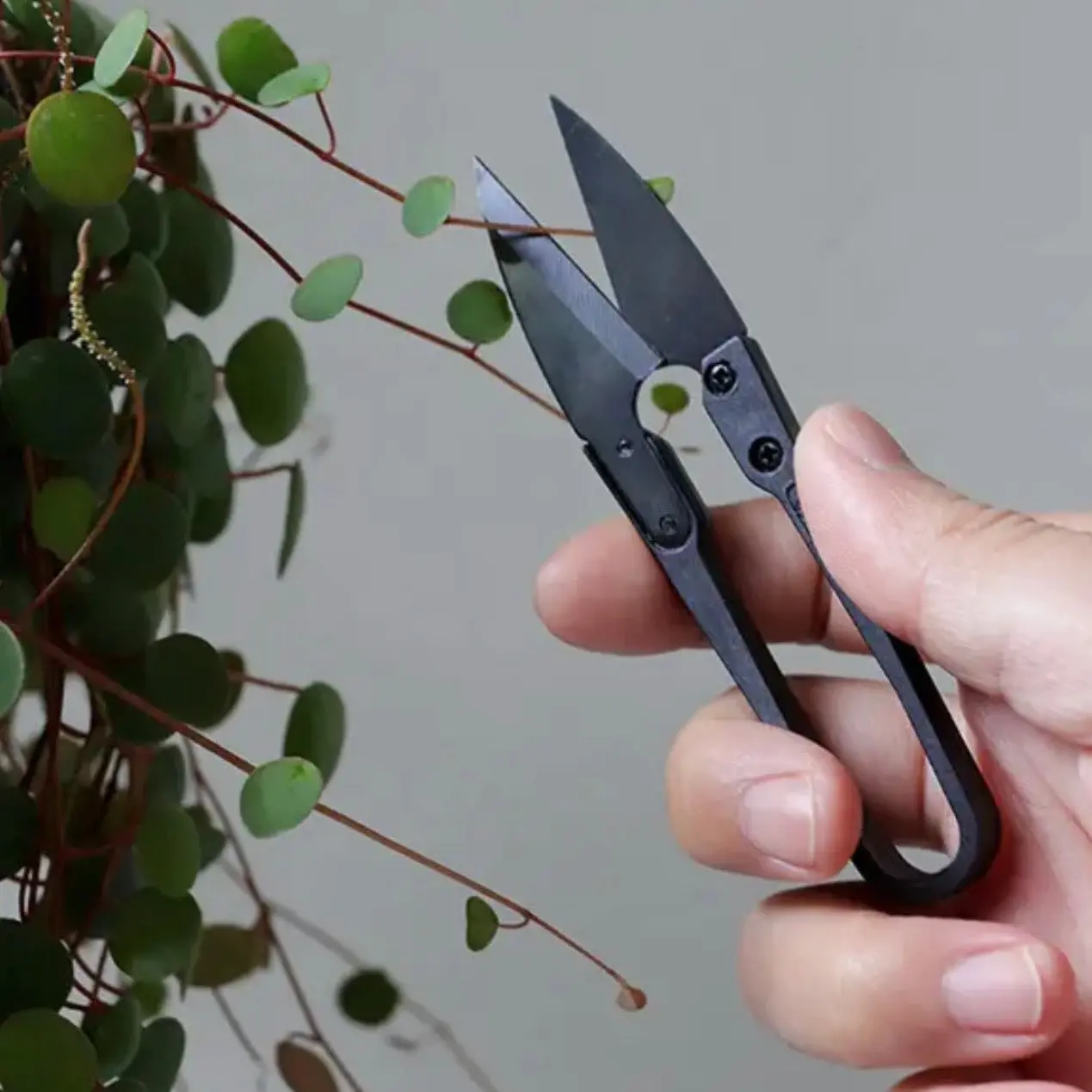 Pruning Shears Pruning Shears