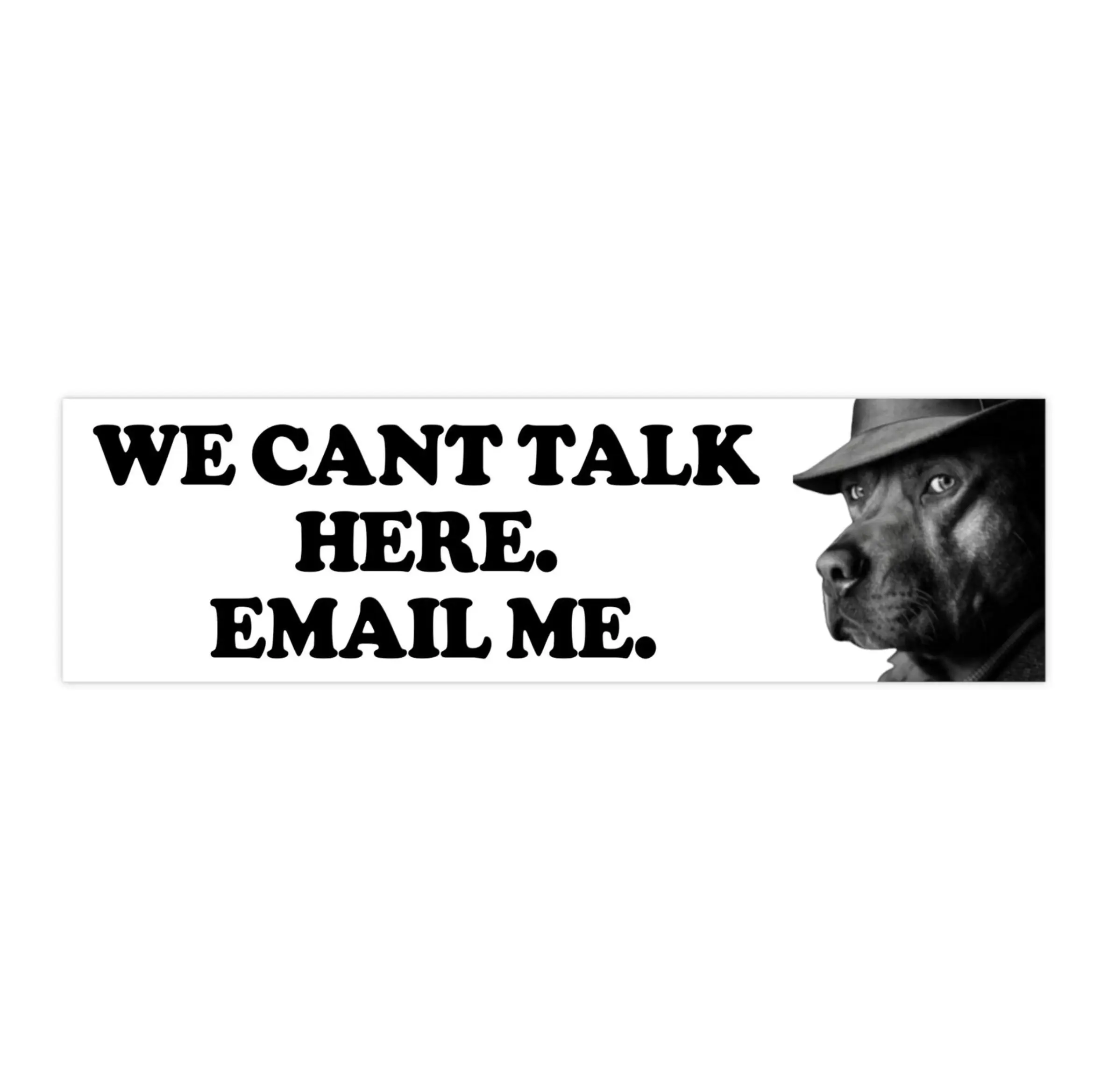 We can't talk here. Email me | Bumper Sticker AND Magnet | Funny Meme Sticker | 8.7'' X 2.7'' | Waterproof Premium Quality