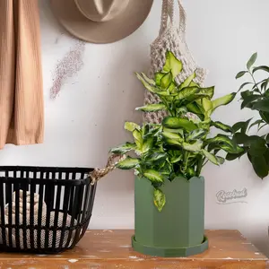 PRVCY Plant Pots with Drainage - Perfect for Home and Garden Use