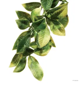 Exo Terra Jungle Plant  Plastic "Mandarin"