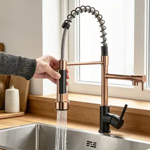 Commercial Kitchen Faucet with Pull Down Spray Stainless Steel Single Handle Dual outlet Kitchen Sink Faucet High Arc Spring Faucet 1Hole Deck Mount,Suitable for Farmhouse Camper Laundry Rv B