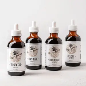 Hodgins Harvest - Organic Mushroom Tincture Bundle – Lion’s Mane, Reishi, Cordyceps & Turkey Tail Dual Extract Set – USDA Organic – 4 x 4 fl oz