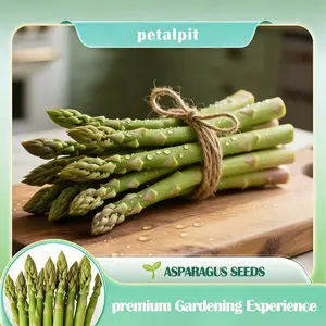 【PetalPit】Low-Fat High-Fiber Asparagus Seeds | Top Choice for Weight Loss Veggies | Perennial & Easy to Grow | Plant Once, Harvest for Years