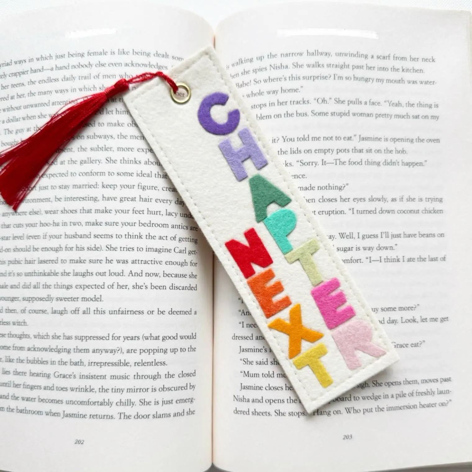 Next Chapter Felt Bookmark Rainbow