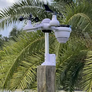 review image 4