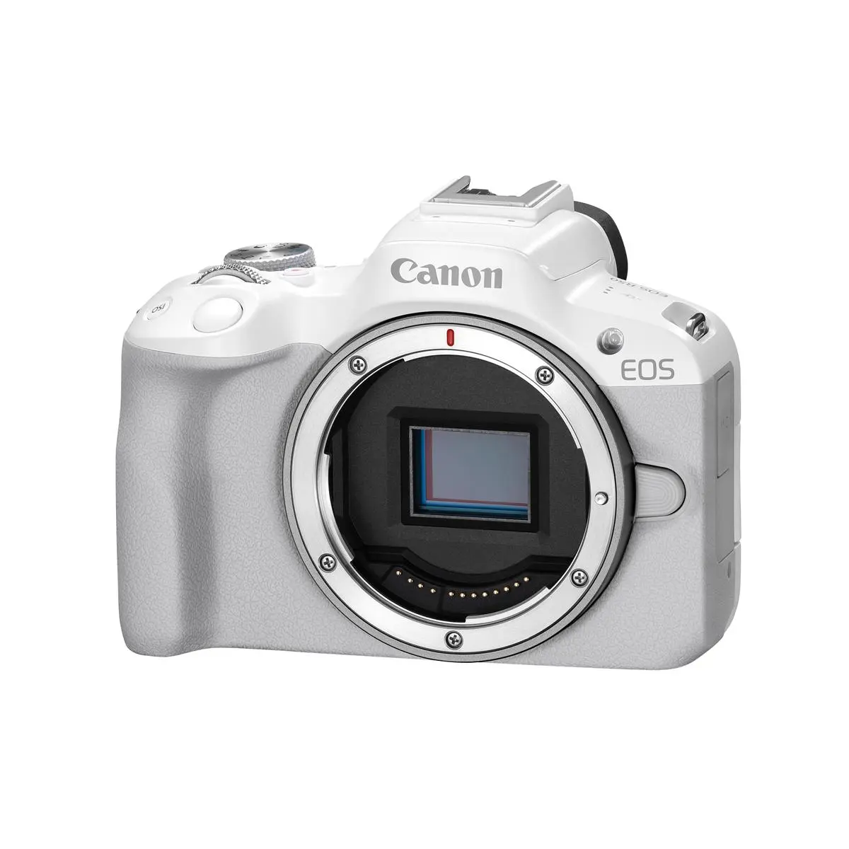 Canon EOS R50 Mirrorless Camera, White