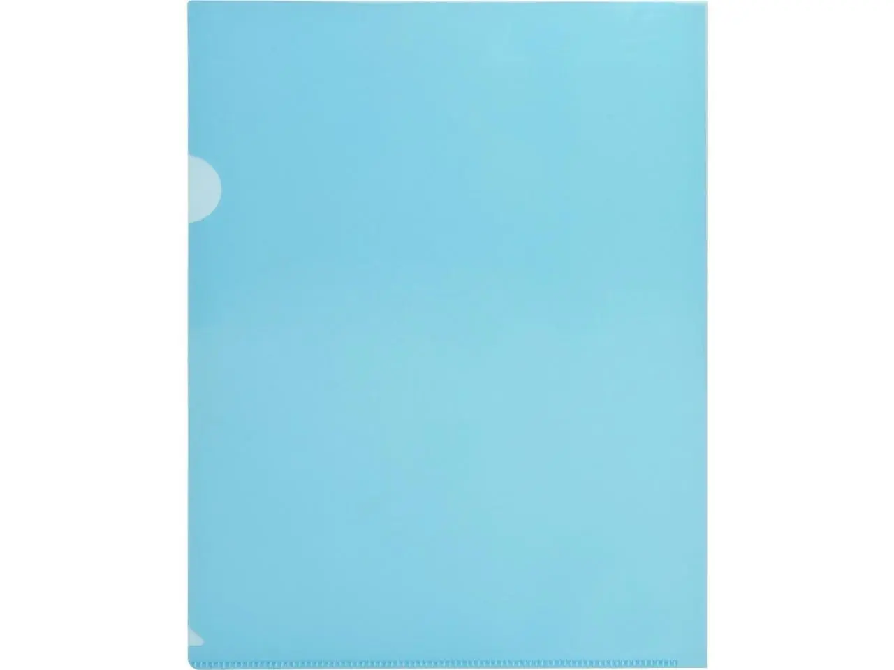 Business Source Transparent Poly File Holders