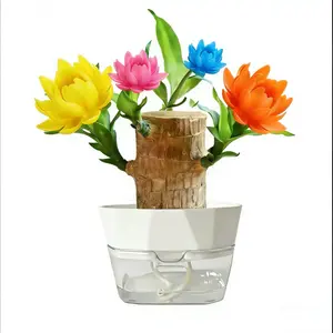 2026 New Brazilian Lucky Tree - A money tree with a mysterious doll, a wooden decorative ornament, an ideal gift for bringing good luck and wealth, a lucky wood plant with a self-watering planter.