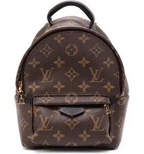 Pre-owned Louis Vuitton pvc Backpacks Palm Springs Monogram Mini Brown backpack xiaotang20260308184