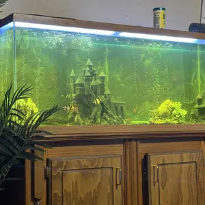 Aquarium Filter Media Organic Filtration Resin for Freshwater & Saltwater Fish Tank Removes Driftwood Tannins Yellow Water 300 ml 2 Packs