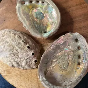 Palm Sized Abalone Shell - Natural Finish with Variations in Color and Texture