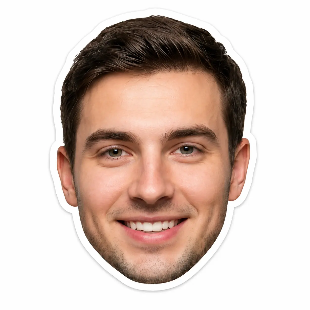 Face Stickers - Custom Stickers Logo - Full Sized High Quality matte Sheets 40 ct. Personalized Stickers Favors Face