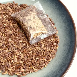 200+ Rose Seeds Mix, Assorted Garden Rose Seed Pack, Non-GMO, Easy-Germination Flower Seeds for Outdoor Planting, Colorful Bloom Mix for Beginners & Home Garden Projects