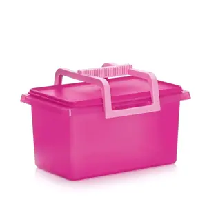 All-purpose container—a box for storing food or other accessories.