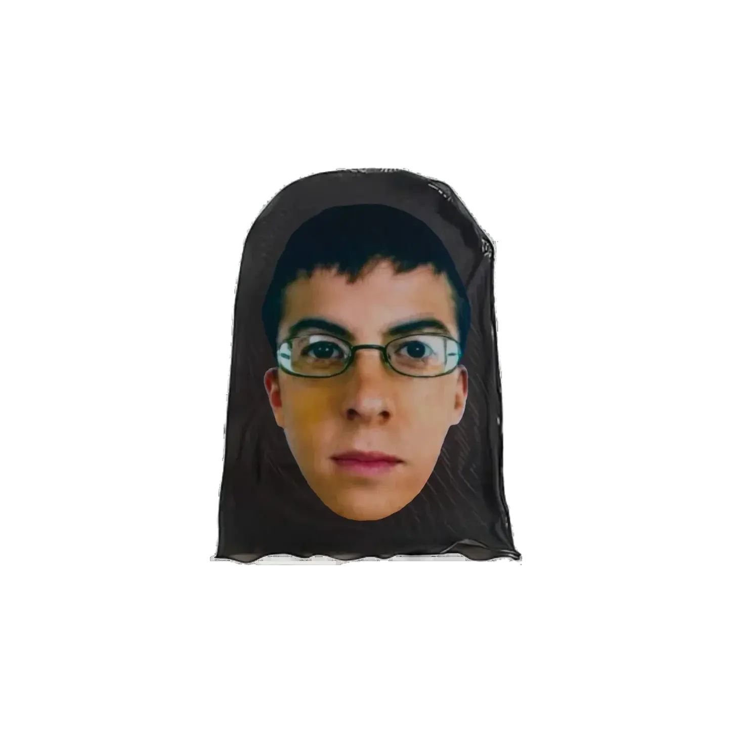 McLovin Mask