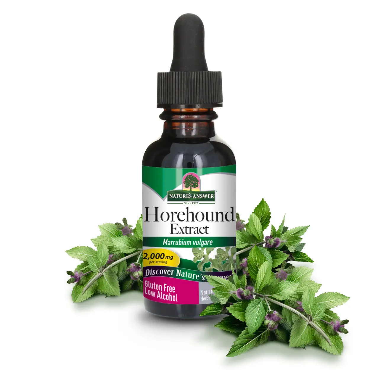 Nature's Answer Horehound Herb Drops with Organic Alcohol, 1-Fluid Ounce | Respiratory Support | Promotes Healthy Lungs | Single Count