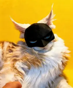 Dark Gothic Mask - GothTok Viral Style for Bold Souls Batman Cat Mask Costume for Halloween & Festive Events