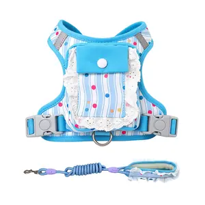Pet Harness Leash Set, Cute Backpack Dog Vest No Pull Harness Leash, Suitable for Small to Medium Dogs, Harness And Leash Set