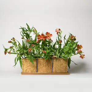 Handcrafted Brass Indoor Planters (Set of 3) - Luxury Plant Pots