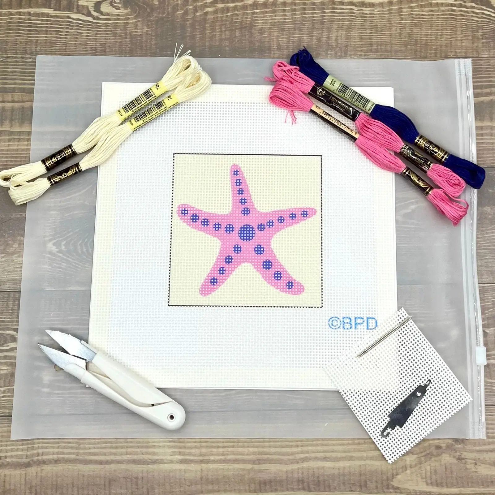 Starfish Needlepoint Design