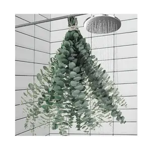 11PCS Natural Dried Eucalyptus Stems, 17-in Hanging Decorative Plants, Ideal for Shower, Bathroom Vase Decor and DIY Greenery