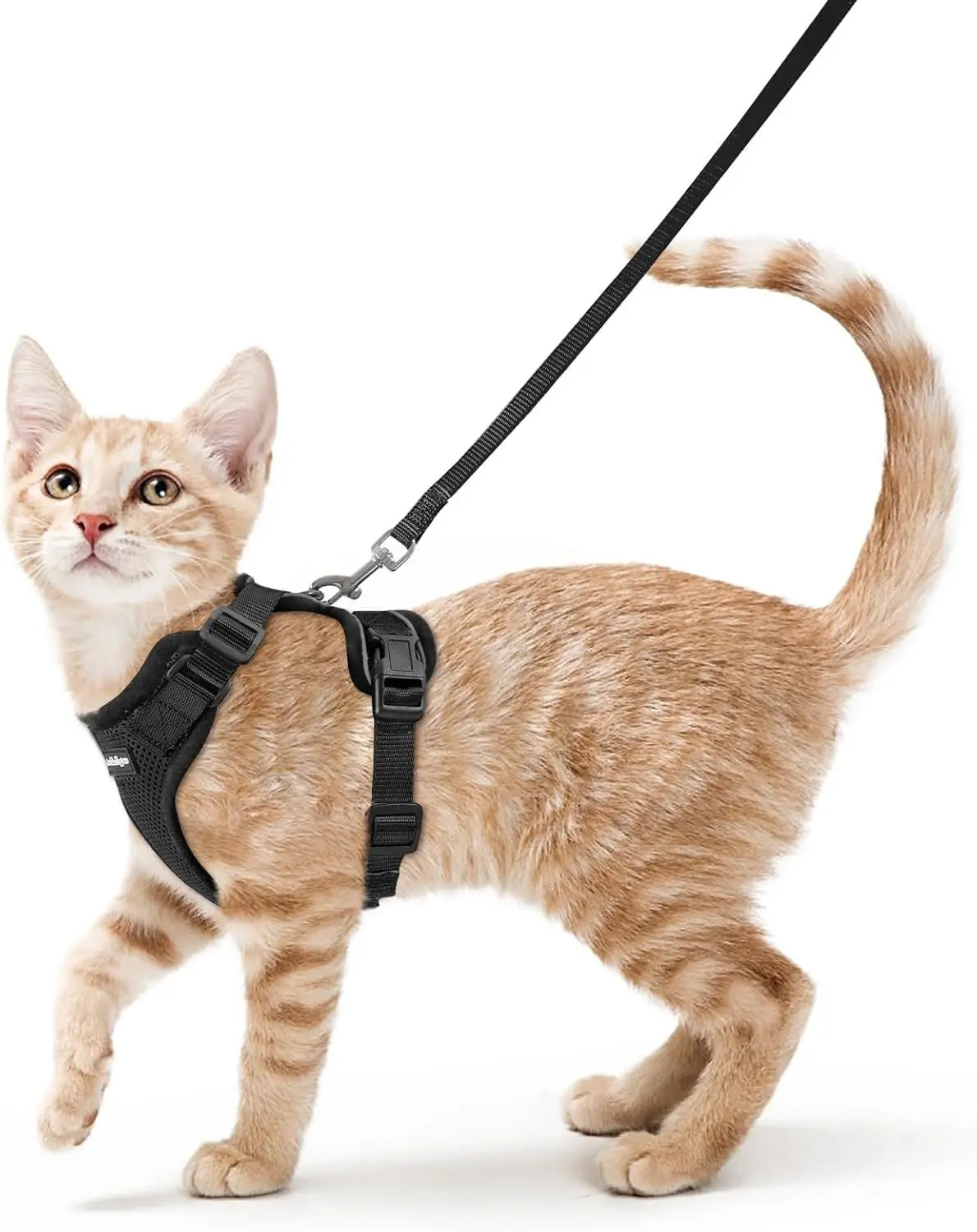 rabbitgoo Cat Harness and Leash Set, Escape Proof Vest, Black | Soft Breathable Mesh, Easy Adjustable Fit, Snap Buckles, Sturdy Clip, Reflective Strips, for Small & Average Cats Walks, Xs Gift