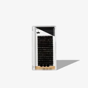 Volume Lashes - Single Trays