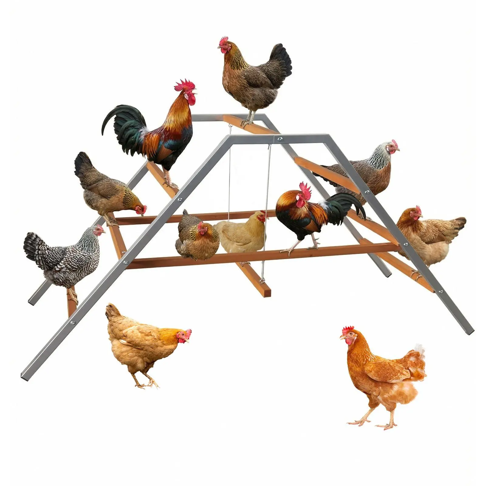 Gaomon Fir Wood Chicken Perch with Swing - Sturdy Metal Frame, Multi-Level Roosting Bars, Easy-to-Assemble Outdoor Backyard Farm Coop Accessory for 10+ Chickens, Healthy Growth & Exercise Aid