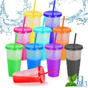 10pcs 24oz Color Changing Cups with Lids and Straws, Color Changing Tumbler, Reusable Cups with Lids in Multicolors Perfect for Cold Drinks, Cold Coffee, Smoothie etc