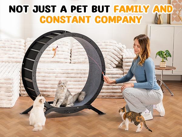COMHOMA Cat Wheels, 40" Diameter, Large Cat Exercise Wheel for Indoor Cats Cat Treadmill Metal with Detachable Carpet & Teaser/Stickers Ultra-Quiet Scroll Wheel with Latch Safe and Stable COMHOMA Cat Wheels, 40" Diameter, Large Cat Exercise Wheel for Indoor Cats Cat Treadmill Metal with Detachable Carpet & Teaser/Stickers Ultra-Quiet Scroll Wheel with Latch Safe and Stable