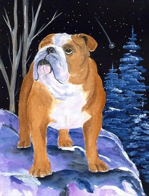 Starry Night English Bulldog Canvas Flag - House Size, 28 x 40 in.