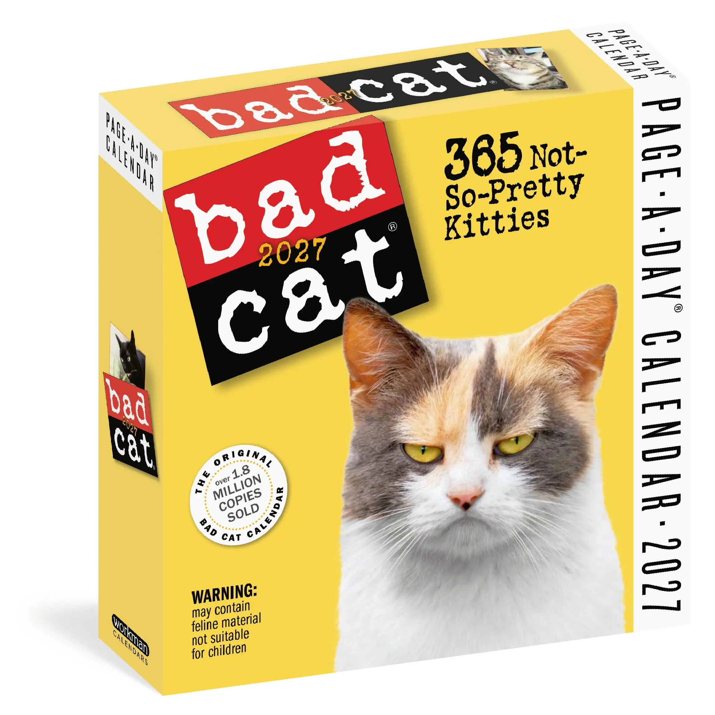 Bad Cat Page-A-Day® Calendar 2027 by Workman Calendars