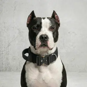 Ultimate K9 Tactical Dog Collar, Premium Padded Heavy Duty Training Collar with Control Handle & Metal Buckle for Medium Large Dogs