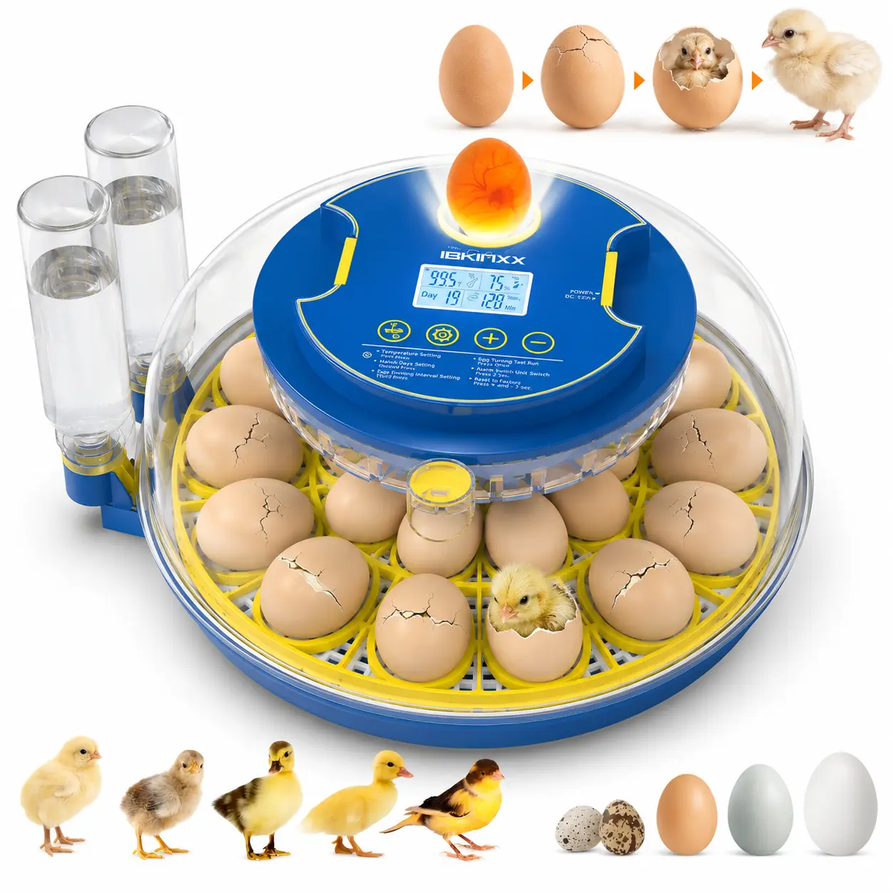 18 Egg Automatic Incubator – Smart Temperature & Humidity System, Auto Water Refill & Egg Turning Hatcher for Chicken Duck Quail Eggs, Easy Hatch for Beginners & Family Farms Automatic Chicken and Quail Egg Incubator view poultry cage Home