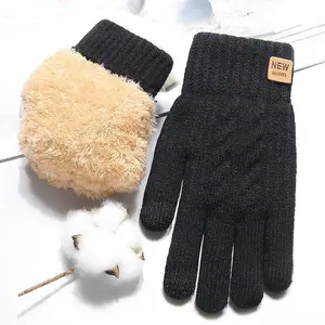 Double layered men's thick and plush winter new touch screen gloves, cold resistant and warm plush knitted gloves