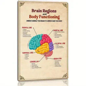 Mental Health Brain Science Metal Tin Sign Brain Anatomy Wall Art for Therapy Room, Classroom, Educational Decor ( 8 X 12 ( 11.81inch x 7.87inch) )