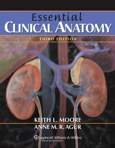 USED-Essential Clinical Anatomy by Keith L. Moore (Paperback)