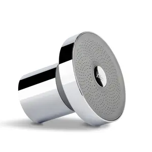 The Jolie Filtered Showerhead (With Subscription)